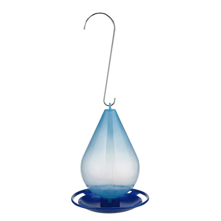 Colorful Bird Rain Water Feeder