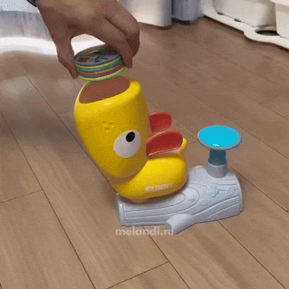 Fun Outdoor Flying Disc Game Set