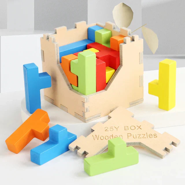 Fesara | Exciting Brain Teaser 3D Wood Tetris Puzzle