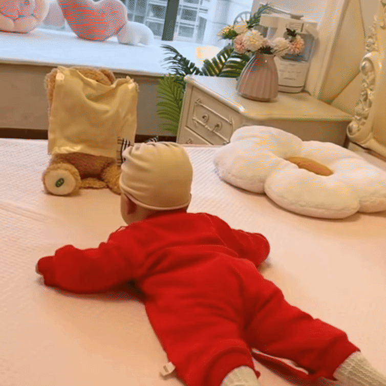Cute Animated Teddy Bear Toy