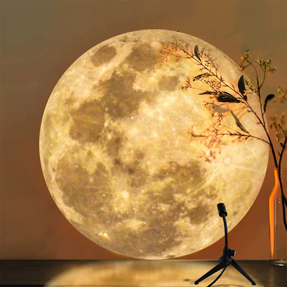 Giant Globe Pendant Lamp Earth Moon Design