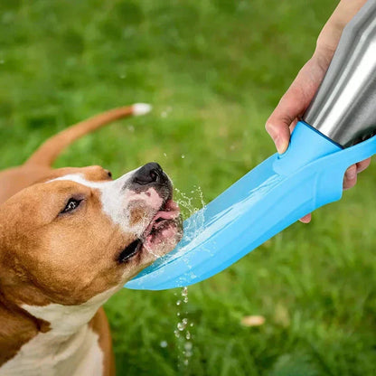 Portable Pet Water Bottle | Durable Leakproof Stainless Steel