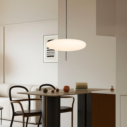 Modern Danish Hanging Light Fixture