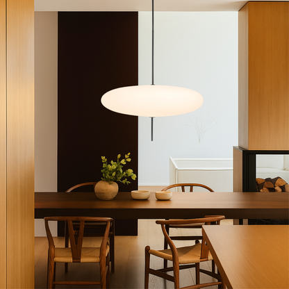 Modern Danish Hanging Light Fixture