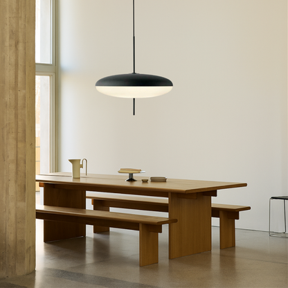 Modern Danish Hanging Light Fixture