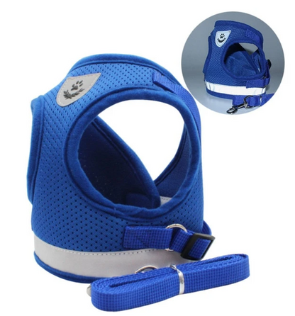 Secure Cat Harness for Outdoor Adventures