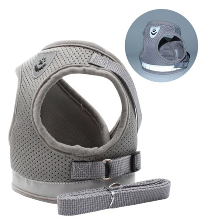 Secure Cat Harness for Outdoor Adventures