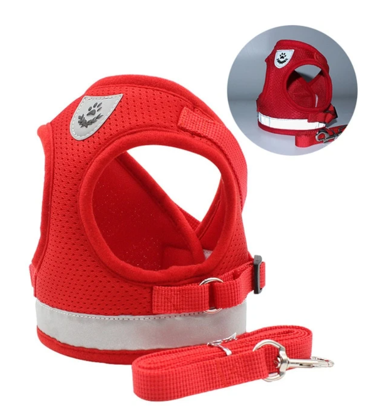 Secure Cat Harness for Outdoor Adventures