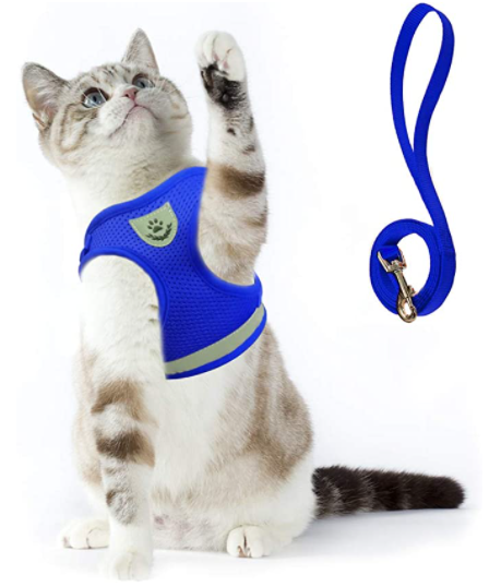 Secure Cat Harness for Outdoor Adventures