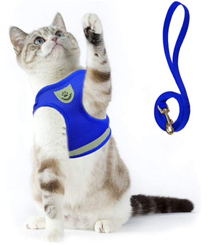 Secure Cat Harness for Outdoor Adventures