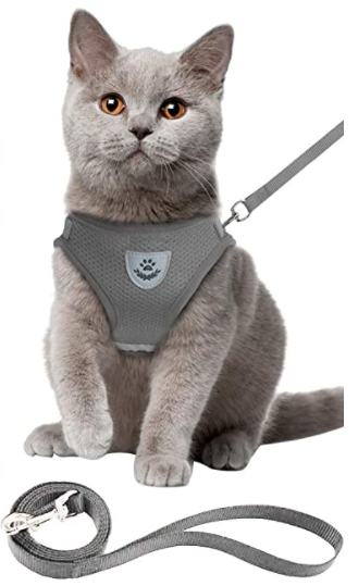 Secure Cat Harness for Outdoor Adventures