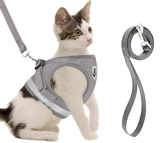 Secure Cat Harness for Outdoor Adventures