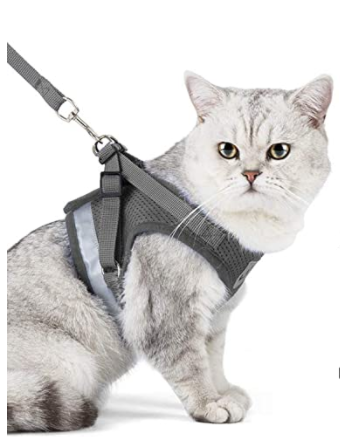 Secure Cat Harness for Outdoor Adventures