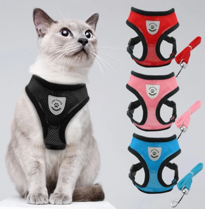 Secure Cat Harness for Outdoor Adventures