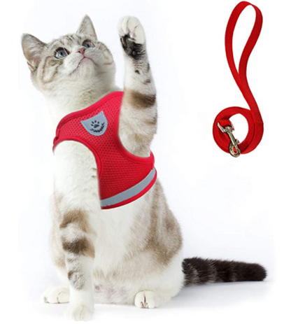Secure Cat Harness for Outdoor Adventures
