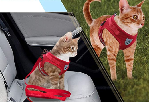 Secure Cat Harness for Outdoor Adventures