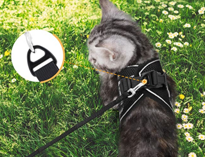 Secure Cat Harness for Outdoor Adventures