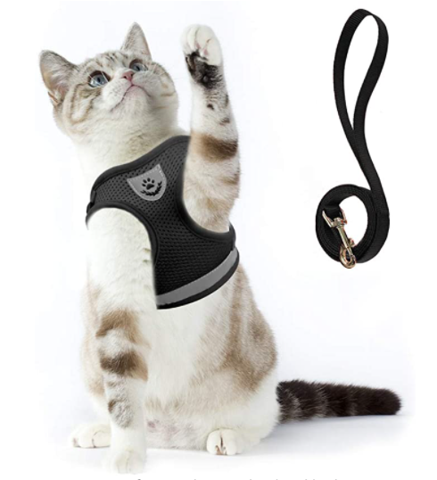Secure Cat Harness for Outdoor Adventures