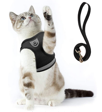 Secure Cat Harness for Outdoor Adventures