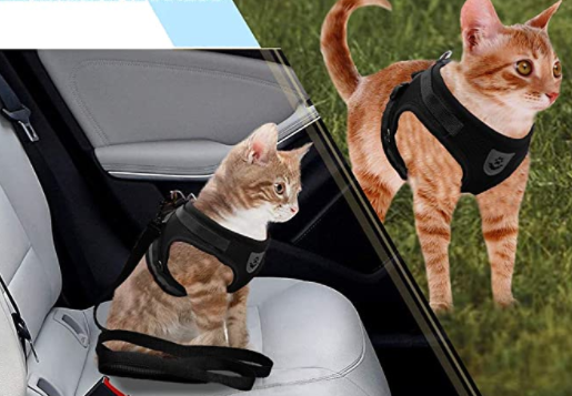 Secure Cat Harness for Outdoor Adventures