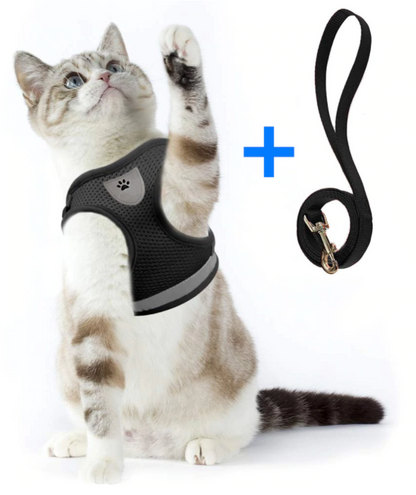 Secure Cat Harness for Outdoor Adventures