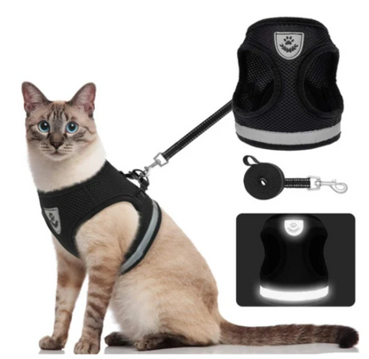 Secure Cat Harness for Outdoor Adventures