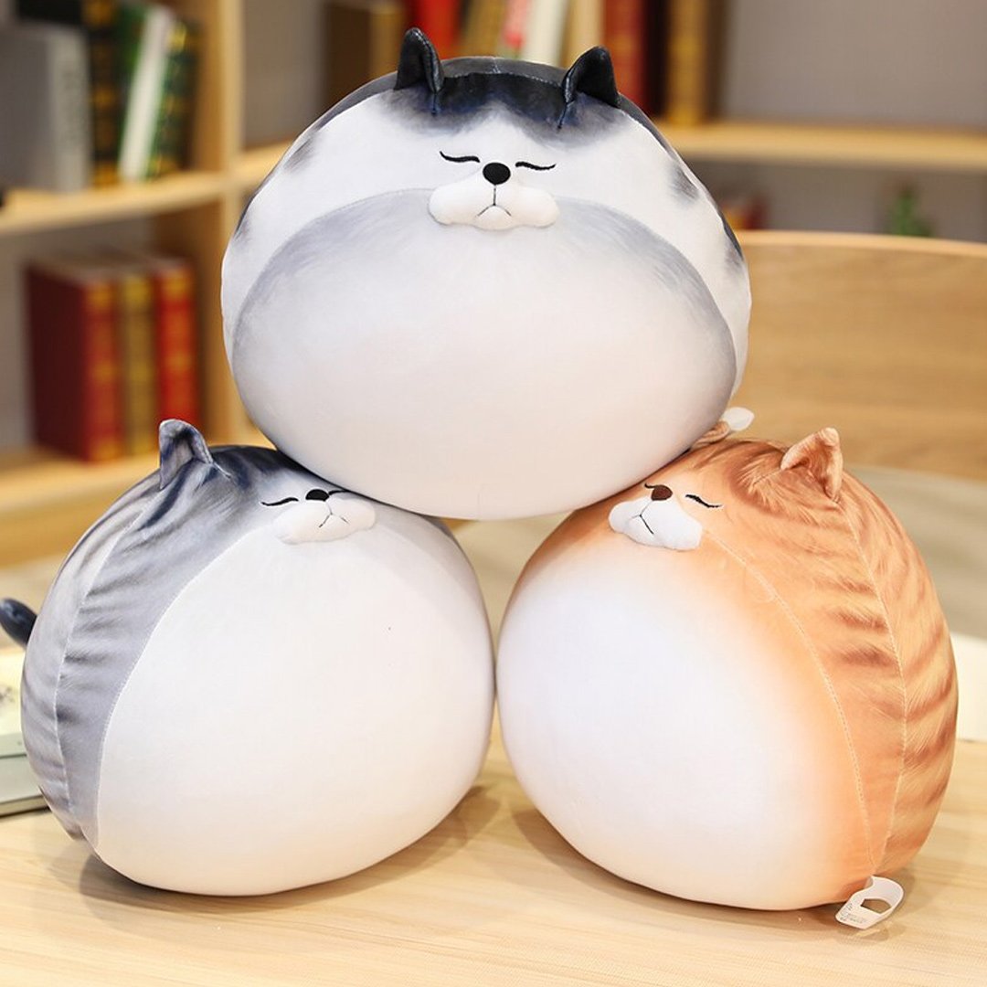 Funny Fat Cat Socks