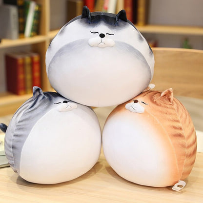 Funny Fat Cat Socks