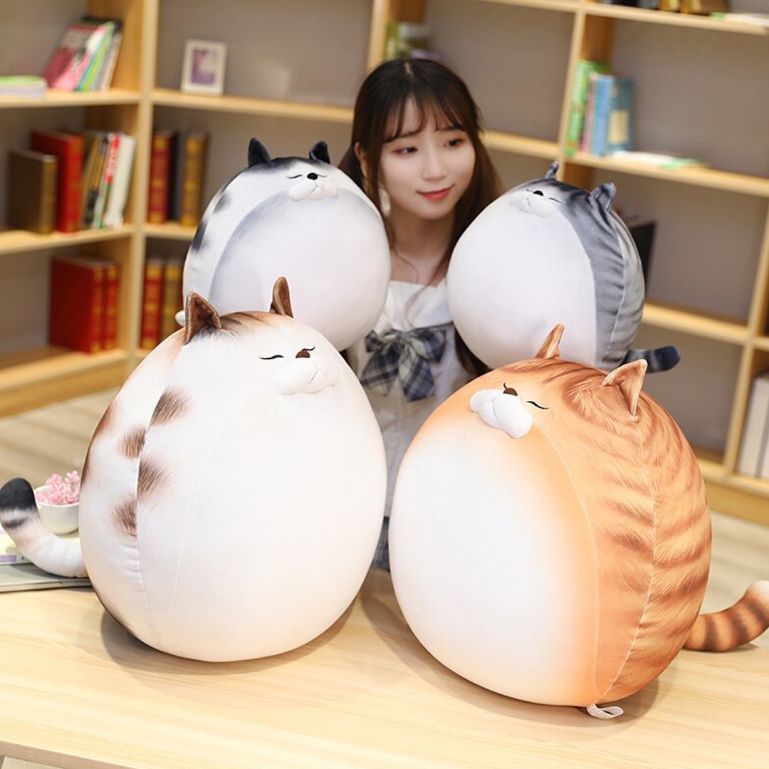 Funny Fat Cat Socks