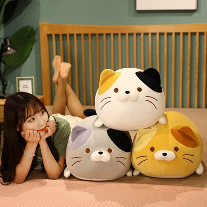 Funny Cat Lover Gift