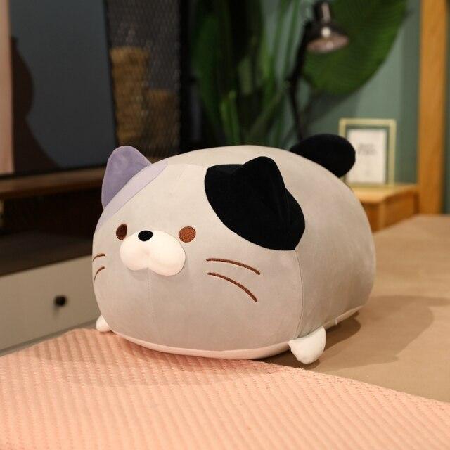 Funny Cat Lover Gift