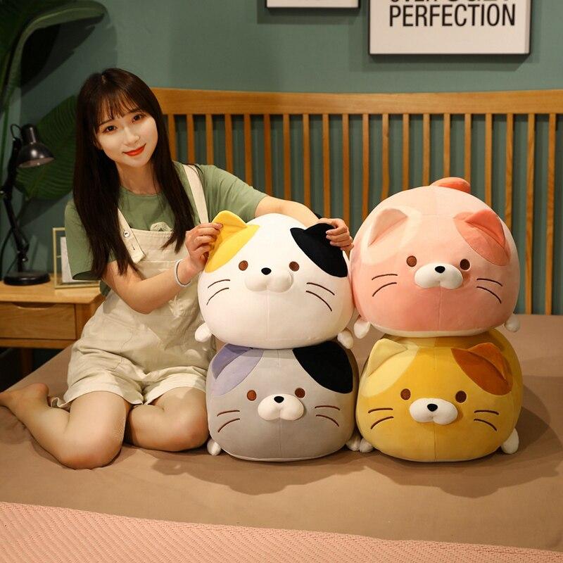 Funny Cat Lover Gift