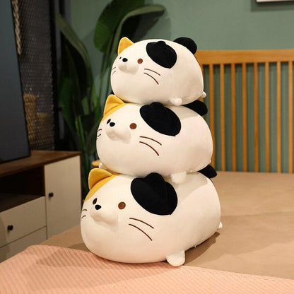 Funny Cat Lover Gift
