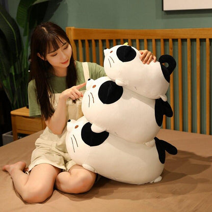 Funny Cat Lover Gift