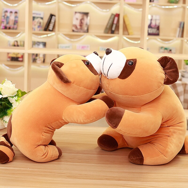 Fesara | Cute Brown Teddy Raccoon Toy - Fesara