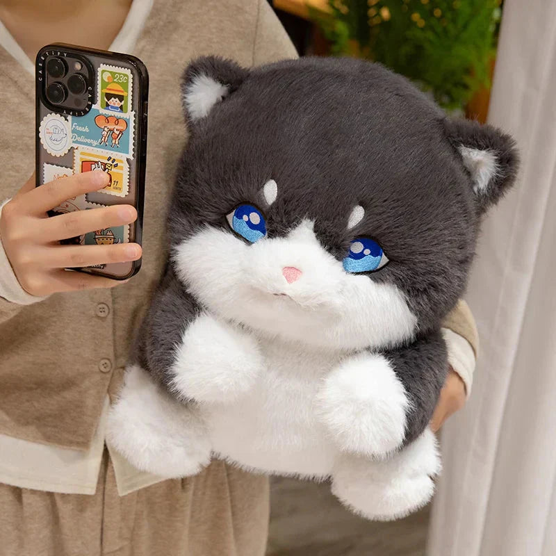 Adorable Fat Grey Kitten Soft Plush Toys
