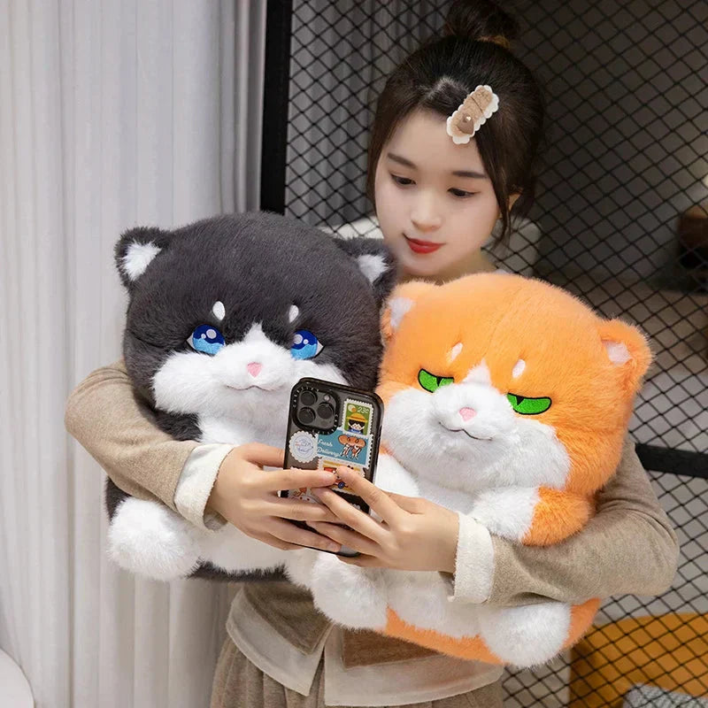 Adorable Fat Grey Kitten Soft Plush Toys
