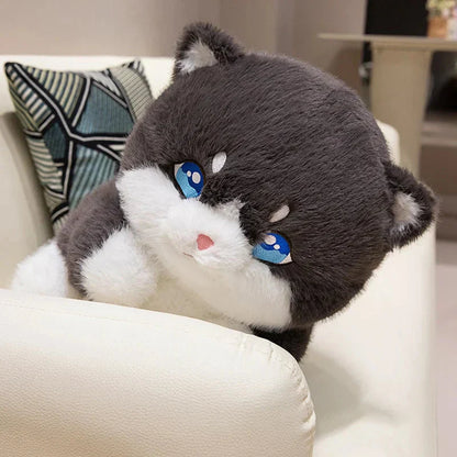 Adorable Fat Grey Kitten Soft Plush Toys