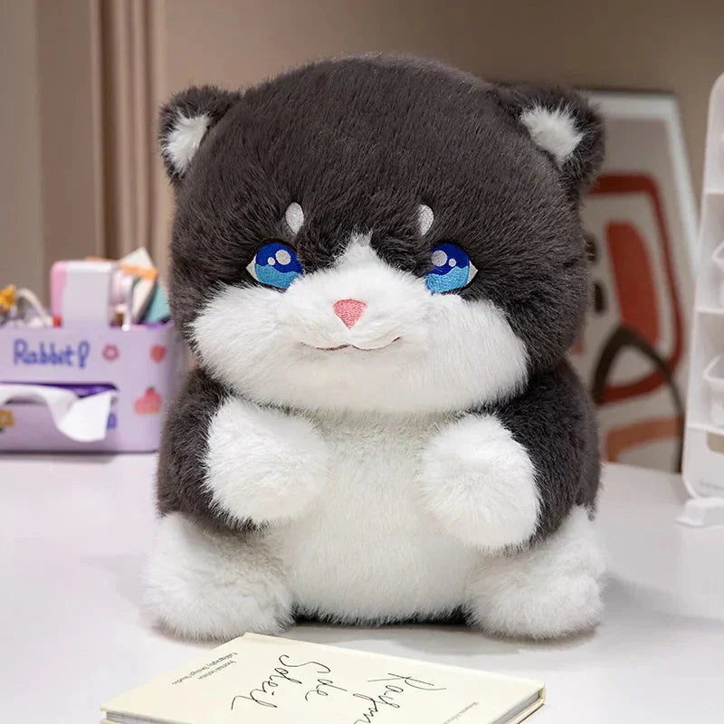Adorable Fat Grey Kitten Soft Plush Toys - Fesara