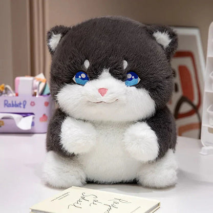 Adorable Fat Grey Kitten Soft Plush Toys - Fesara
