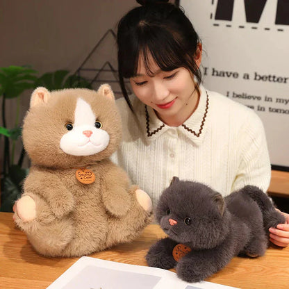 Cute Kitten Friends Soft Plush Toys