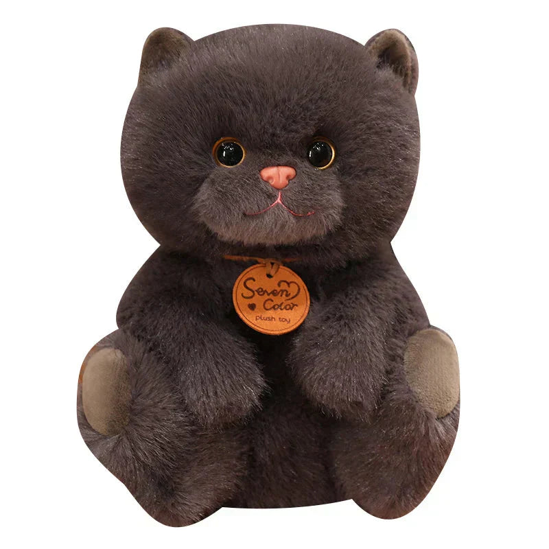 Cute Kitten Friends Soft Plush Toys - Fesara