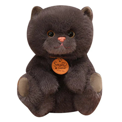 Cute Kitten Friends Soft Plush Toys - Fesara