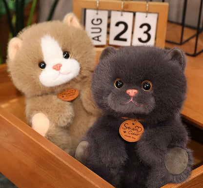 Cute Kitten Friends Soft Plush Toys