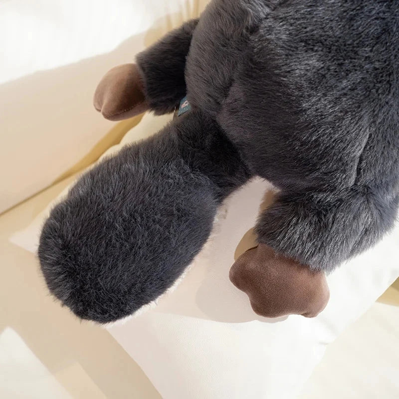 Big Cuddly Platypus Teddy Plush