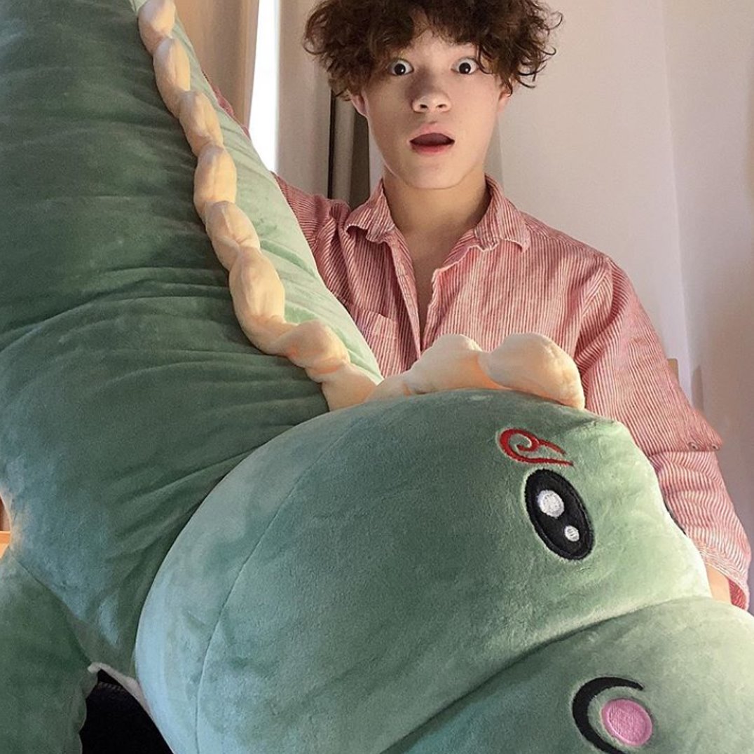 Cute Dinosaur Soft Plush Toy