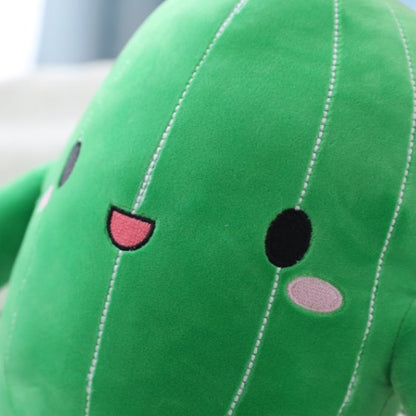 Fun Cactus Character Figurines