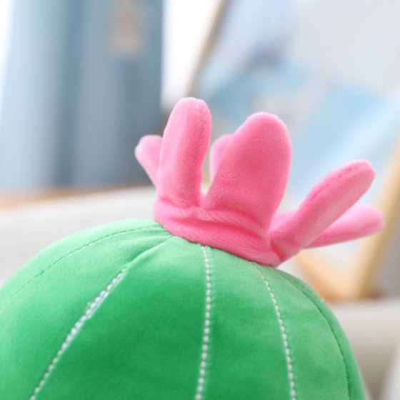Fun Cactus Character Figurines