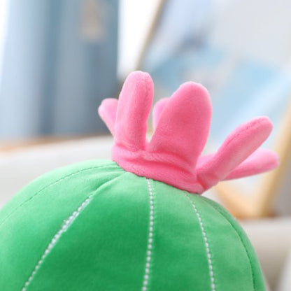 Fun Cactus Character Figurines