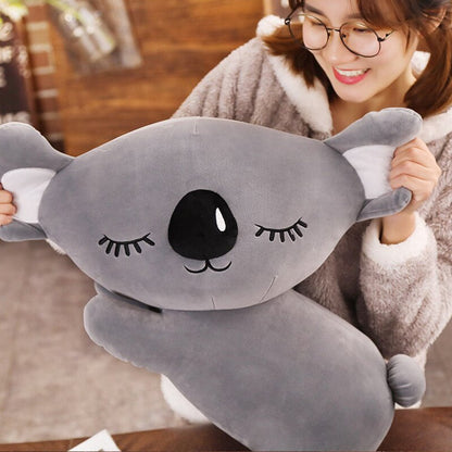 Cute Koala Joey Soft Toy